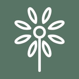 tree representing zero waste